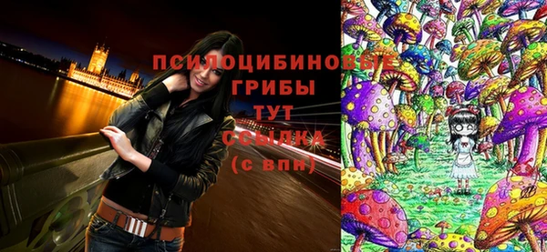 марки lsd Костерёво