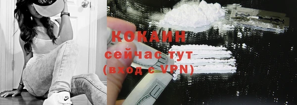 ПСИЛОЦИБИНОВЫЕ ГРИБЫ Коряжма