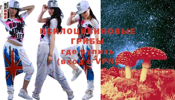 ПСИЛОЦИБИНОВЫЕ ГРИБЫ Коряжма