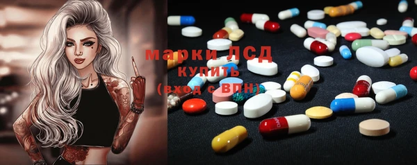 ПСИЛОЦИБИНОВЫЕ ГРИБЫ Коряжма